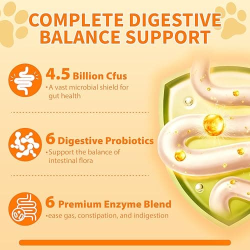 Probiotics for Dogs - 6 Digestive Probiotics & 6 Enzymes for Itchy Skin,Digestion & Gut Support,Helps Diarrhea, Yeast Infection, Upset Stomach,Allergies & Immune System Support-150 Chews - Thumbnail 4