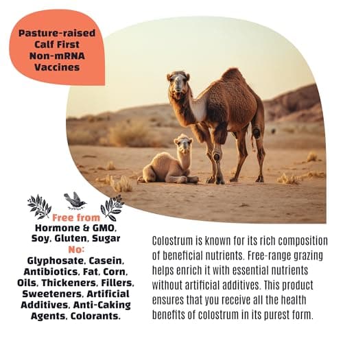 Milk Wealth™ Camel Colostrum Powder 50g | Immune Support Supplement | Gut Health | Unflavored | No Additives | 25 Single-Serve Packets (2g Each) - Thumbnail 6