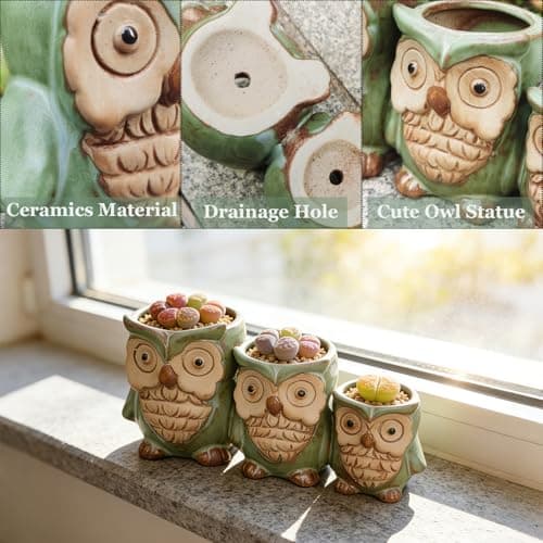 Giafiny Cute Owl Planter, Small Funny Succulent Pots, Unique Decorative Animal Statue Ceramics Plant Pot for Indoor/Outdoor Home Office with Drainage, Owl Gifts for Women Mother Teacher, Three Owls - Thumbnail 4