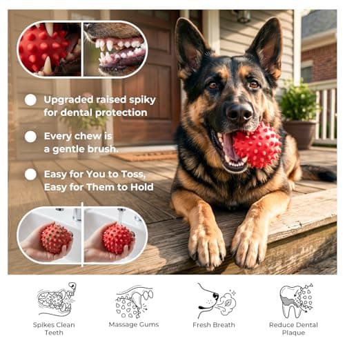 Apasiri Beef-Flavored Durable Dog Ball for Aggressive Chewers, Tough Squeaky Rubber Toy for Pitbulls Large & Medium Breeds - Thumbnail 5