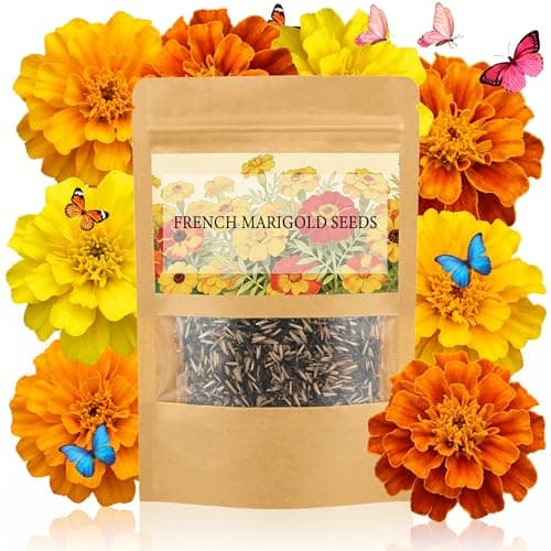 LUOJIBIE French Marigold Seeds for Planting Outdoors, Giant Marigold Flowers Seeds Bulk for 2026, Over 4,000+ Seeds Prolific Blooms, Ideal for Vibrant Pollinator Gardens - Image 1