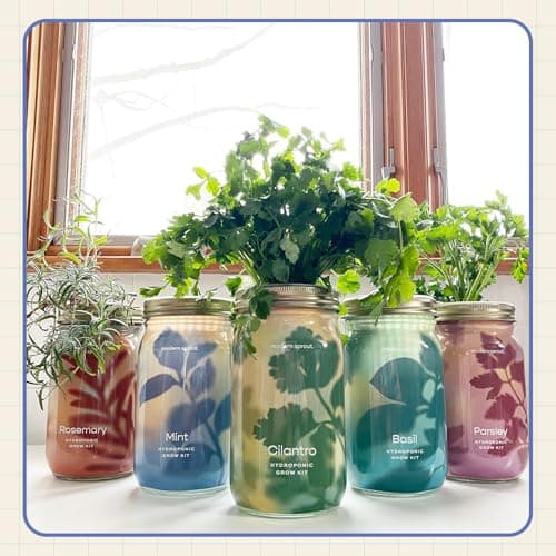 Modern Sprout Mason Garden Jar - Self-Watering Hydroponics Growing System Kit with Organic Herb Seeds - Jar Planter for Indoor Herb Garden - Seed Starter Kit - Home Decor & Gifting - Lavender - Thumbnail 6
