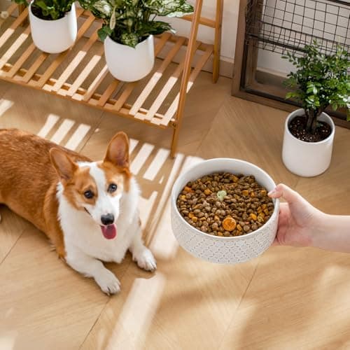 MALACASA Ceramic Dog Food Bowl, 3.5 Cups or 32oz Dog Food Water Dish for Mudium Breeds, Pet Bowl Dishwasher & Microwave Safe, Honeycomb, Series Lydia - Thumbnail 4