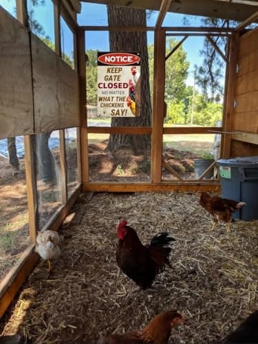 Carastora Keep Gate Closed Sign - Rustic Farm Metal Sign for Chicken Coop, Yard, Garden Fence or Outdoor Barn Decor, 12x8 Inch - Thumbnail 2