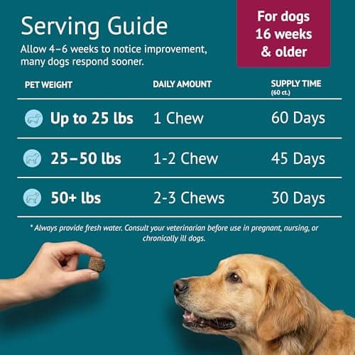 VetsLeaf Skin & Coat Dog Chews – Collagen, Omega-3, EPA & DHA for Skin Health & Coat Shine – Antioxidant-Rich Supplement with Vitamin A & D3 – Supports Brain, Energy, and Balanced Blood Sugar - Thumbnail 4