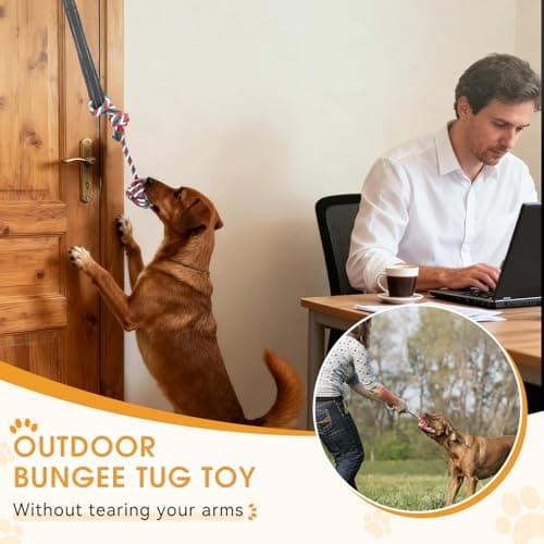 HOPET Bungee Tug Toy for Dogs,Tug of War Dog Toy for Aggressive Chewers to Keep Them Busy,Interactive Dog Rope Toy for Medium/Small Dogs,Can Used On Doors and Trees - Thumbnail 6