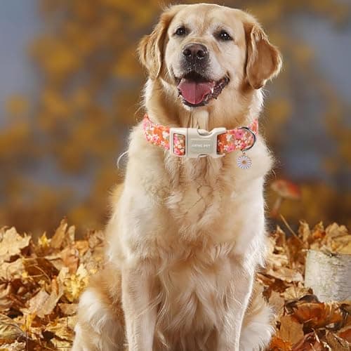 ARING PET Spring Summer Dog Collar, Cute Daisy Wildflower Floral Blossom Pet Collars for Small Medium Large Girl Dogs-S Size - Thumbnail 5