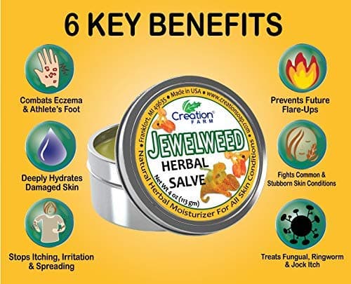 Creation Farm Jewelweed Salve Big 4 oz Tin - Tea Tree Ointment for Skin Care of Poison Ivy, Tattoo Aftercare, Great for Itch! - Thumbnail 5