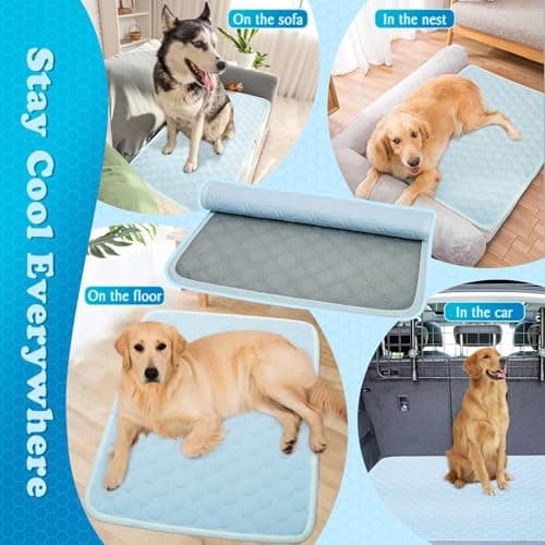 dgdgcool Dog Cooling Mat, Q-Max>0.5 Arc-Chills Washable Pet Cooling Pad for Dogs Cats, Non-Slip Foldable Cool Bed for Indoor Outdoor Car Crates - Thumbnail 6