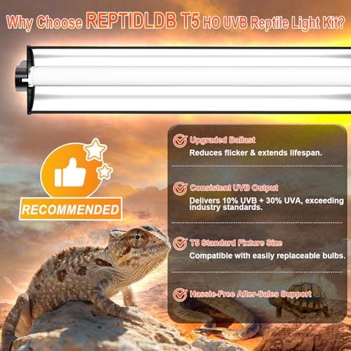 REPTIDLDB 8W T5 10.0 UVB Reptile Light Fixture 12" – High Output UVA UVB Light for Bearded Dragons, Turtles & Snakes – Compact UVB Lamp for Desert & Tropical Reptiles (UVB 10.0-Desert, 12INCH-8W) - Thumbnail 2