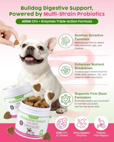 GJYC PET Probiotic Soft Chews for Dogs & Cats - 600M CFU Multi-Strain Probiotics, Prebiotics & Digestive Enzymes - Chicken Flavor Daily Gut Health Supplement - 60 Soft Chews (120g) - Thumbnail 2