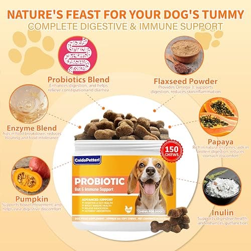 Probiotics for Dogs - 6 Digestive Probiotics & 6 Enzymes for Itchy Skin,Digestion & Gut Support,Helps Diarrhea, Yeast Infection, Upset Stomach,Allergies & Immune System Support-150 Chews - Thumbnail 2