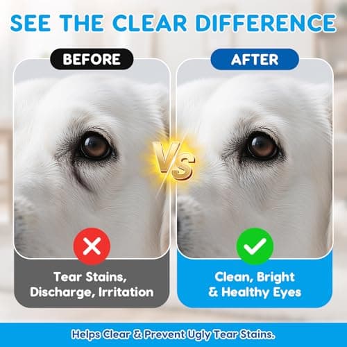 PHASORRA Dog & Cat Eye Drops, Soothing Eyes, Relieve Eye Irritation & Itching, Redness, Gentle and Safe - 2 fl oz - Thumbnail 2
