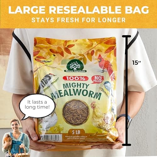 Nature Anywhere Mealworms for Chickens 5LB Mighty Mealworm, Chicken Feed Topper, Chicken Food for Laying Hens, No Fillers, SGS Tested, Resealable Bag, Bird Food for Outside Wild Birds - Thumbnail 3