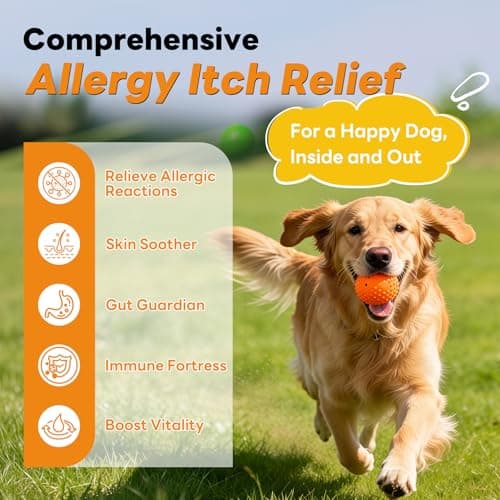 CleverasHealth Dog Allergy Relief Chews 200ct Relieve Seasonal Allergies and Skin Itching Alleviate Licking Behavior Boosting Immunity and Hair Protection - Chicken - Thumbnail 2