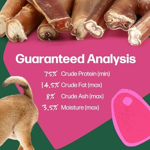 Willow&I Bully Sticks for Dogs -12 Inch Natural Bully Sticks for Medium, Large & Small Dogs- Premium 100% Grass Fed, Single Ingredient, Long Lasting, High Protein, Odor Free (12", 5 Pack) - Thumbnail 6
