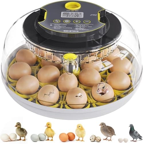 IBKINXX Incubator for Hatching Eggs-18 Egg Capacity, Automatic Egg Turner, Temperature & Humidity Control, 360° Viewing for Chicken, Duck and Quail Eggs - Image 1