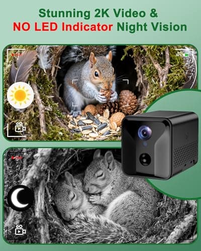 KinetCam Smart Squirrel Box with Camera,Predator-Proof,2K HD Wi-Fi Pet Watching Cam for Squirrel House, Auto Detect & Notify, Night Vision, APP Control, Squirrels Houses for Outside Nesting - Thumbnail 4