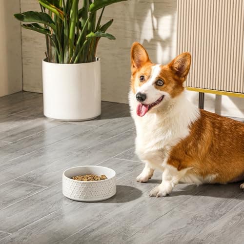 MALACASA Ceramic Dog Food Bowl, 3.5 Cups or 32oz Dog Food Water Dish for Mudium Breeds, Pet Bowl Dishwasher & Microwave Safe, Honeycomb, Series Lydia - Thumbnail 6