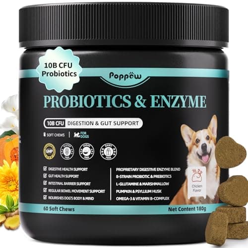 Probiotics for Dogs, Digestive Enzymes & Pumpkin Fiber for Gut Health and Bowel Support, Dog Supplement for Gas Relief & Constipation, 10B CFU with 5 Prebiotics & 5 Enzymes, 90 Count Chicken Flavor - Image 1