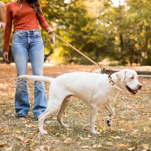 Wisedog Waterproof Dog Collar and Leash Set, Adjustable Puppy Collar with Cute Tag 4FT Dog Leash with Poop Bag for Small Medium Large Dogs (XS, Sand Color) - Thumbnail 6