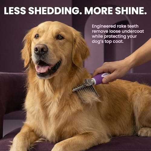 Poodle Dematting Fur Rake Comb Brush for Dogs and Cats - Long 2.5" Steel Safety Blades Metal Comb for Detangling Matted or Knotted Undercoat Hair - Thumbnail 4