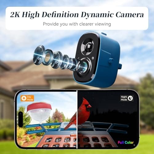 Smart Bird Feeder with Camera Solar Powered, 5GHz/2.4GHz, 2K HD Live View, AI Bird Species Identify, Instant Arrival Alerts, Weatherproof Outdoor Bird Feeder Camera, Best for Bird Lovers - Thumbnail 4