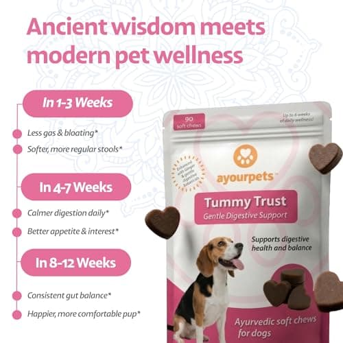 Ayourpets Dog Digestive Chews for Diarrhea, Loose Stool & Sensitive Stomachs – Herbal Gut Support with Ginger, Fennel & Turmeric – Pork Flavor – 90 Count - Thumbnail 3