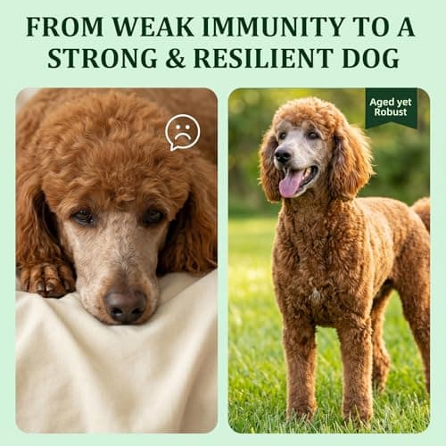 Luckiepaw Organic Turkey Tail Mushroom Supplement for Senior Dogs & Cats – 10-in-1 Functional Mushroom Powder with CoQ10 for Immune Support, Digestive Health – Chicken Flavor, Scoop Included - Thumbnail 6