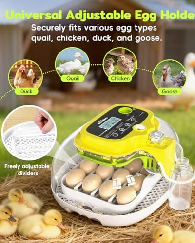 Incubators for Hatching Eggs, 2026 Upgraded 16 Eggs Incubator with Automatic Turner, Digital Temperature Control & Humidity Display and Led Candler, Poultry Hatcher for Chicken, Duck, Quail, Birds - Thumbnail 6