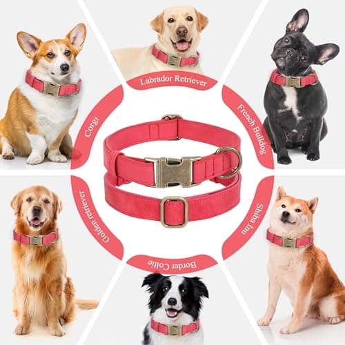 Jumpress Soft Leather Dog Collar for Small Medium Large Dogs, Heavy Duty Dog Collar with Quick Release Metal Buckle, Durable & Adjustable for Medium Dogs Walking (Red, M) - Thumbnail 3