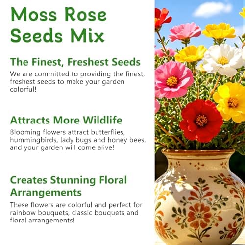 LUOJIBIE Moss Rose Seeds, 20,000+ Bulk Flower Seeds for Planting Outdoors(99% Pure Live, Non-GMO), Mixed Colors and Large Blooms, Attracts Pollinators, Easy to Grow - Thumbnail 4