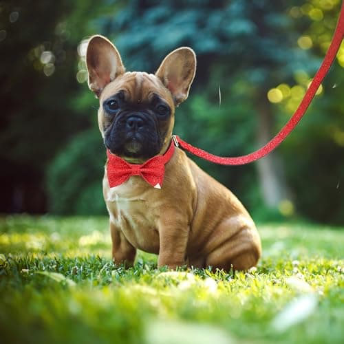 Jumpress Bling Bow Tie Dog Collar and Leash Set, Red Christmas Dog Collar with Bow and 5ft Leash for Medium Dogs, Cute Walking Boy and Girl Dogs Collar Set (Neck fit 13-19’’) - Thumbnail 4