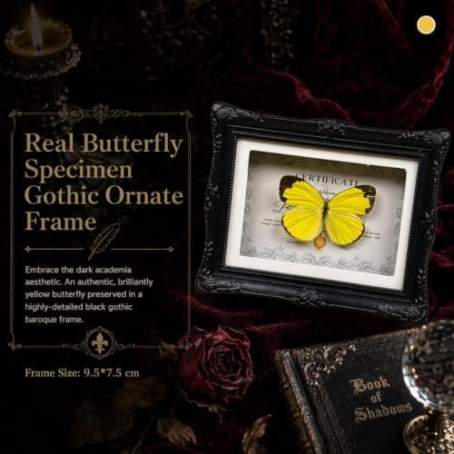 1Pcs Real Butterfly Framed Handmade, Taxidermy Butterfly Shadow Box Collection, Framed Butterfly Taxidermy for Oddities and Curiosities Gifts Tabletop Ornaments (#10-butterfly Specimen+photo Frame) - Thumbnail 2