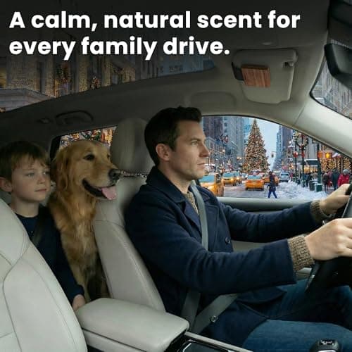 Wood Car Air Freshener — Refillable Solid Odor Eliminator with Premium Leather Visor Clip, North American Alder Wood Scent Square (Gilded Petals) - Thumbnail 4
