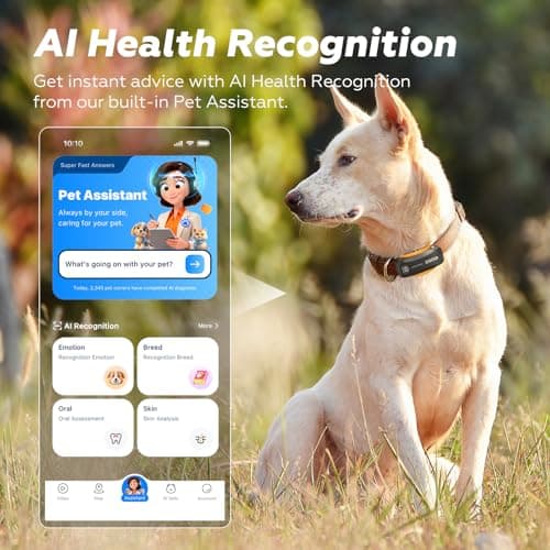 DBDD AI GPS Tracker for Dogs (30lbs+) - Real-Time Location & AI Health Assistant, Electronic Fence Collar for Escape Artists, Waterproof Dog GPS Tracker for Medium Large Dogs, iOS Android - Thumbnail 6