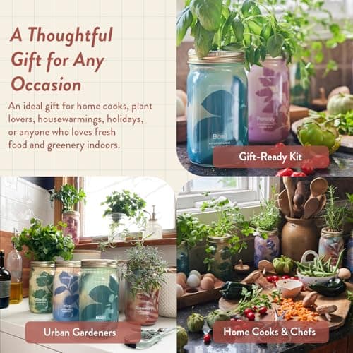 Modern Sprout Mason Garden Jar - Self-Watering Hydroponics Growing System Kit with Organic Herb Seeds - Jar Planter for Indoor Herb Garden - Seed Starter Kit - Home Decor & Gifting - Rosemary - Thumbnail 6