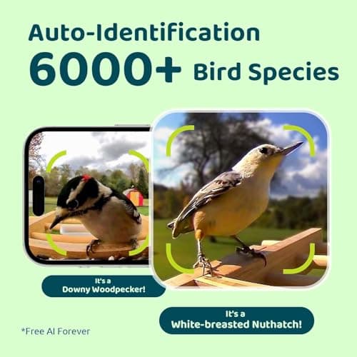 Birdfy Smart Bird Feeder with Camera, High-End Bamboo, Solar Powered Bird-Feeder with 2K Camera for Live Stream&Permanent AI Identifies Birds with Motion Detection,Ideal for Mom,Gran&Me - Thumbnail 6