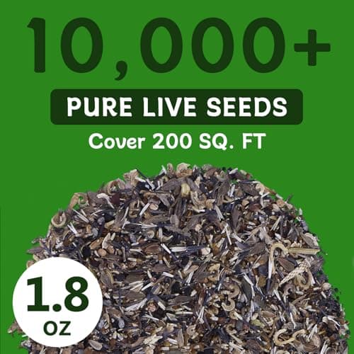LUOJIBIE Wildflower Seeds Bulk, 10,000+ Flowers Seeds for Planting Outdoor, 16 Varieties Annual & Perennial Flowers Seeds Mix Color for Garden, 2 Oz Packet, Non-GMO, Attracts Pollinators, Easy to Grow - Thumbnail 6