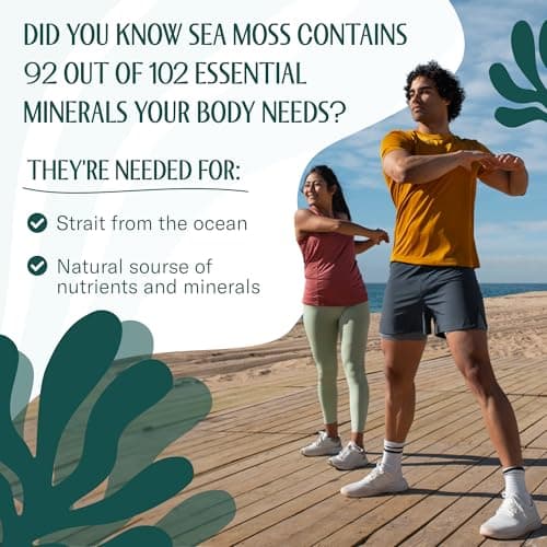 TrueSeaMoss Raw Irish Sea Moss – Wildcrafted Sun-Dried Seaweed for Homemade Gel – 16oz (1 lb) Makes Up to 200oz Gel – Atlantic Harvested - Thumbnail 5