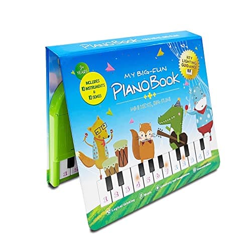 EOOLEOW Kids Keyboard Piano Toys with Book - 20 Keys Kids Keyboard Piano Educational Music Toys, Children Gifts & Toddler Toys for 3 4 5 Year Old Boys and Girls