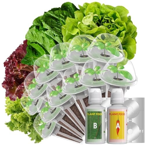 LYKOCLEAN Salad Romaine Lettuce Seed Pods for AeroGarden,Ahopegarden, iDOO Hydroponics Growing System,350 Seeds+ Including American Lettuce,Paris Island Cos Lettuce,Buttercrunch Lettuce (12-Pods) - Image 1