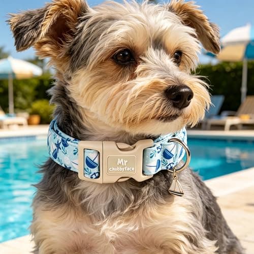 MR.CHUBBYFACE Summer Dog Collar, Cute Blue Ocean Theme Submarine World Pet Collar for Pup Small Medium Large Boy Girl Dogs, Ideal for Beach Park Pool Walks-XL - Thumbnail 5