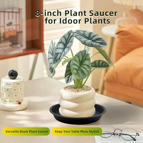 Garrdeen 6 Pack 8 Inch Black Plant Saucers, Heavy Duty PP Plastic Plant Trays for Pots, Durable Flower Pot & Planter Saucers, Water Catcher Drip Trays Indoor Outdoor Use - Thumbnail 5