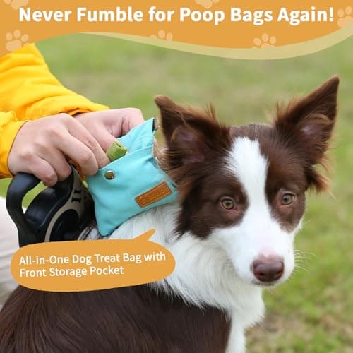 COSOWO Dog Treat Pouch, Hand Free Dog Training Treat Bag with Carabiner & Magnetic Buckle, Auto Closing Dog Walking Bag for Puppy Travel or Outdoor Use, Pet Feed Snack Reward Pocket, Black - Thumbnail 4