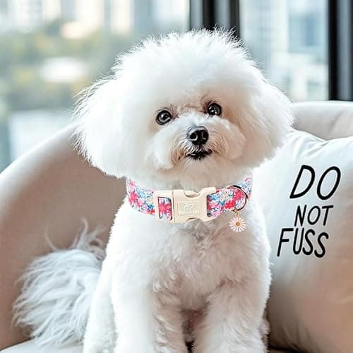 Babole Pet Floral Dog Collar Cute Spring/Summer Dog Collars for Large Dogs - Lightweight Adjustable Pastel Wildflower Male Female Dogs Everyday Collar with Safety Buckle L - Thumbnail 2