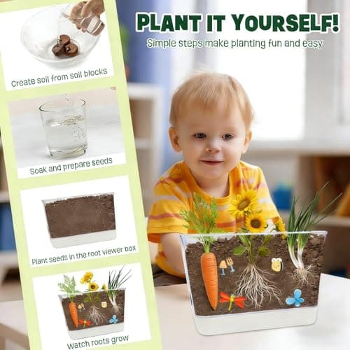 Large Root Viewer Kit for Kids STEM Science Toy Growing Kits for Ages 4, 5, 6, 7, 8, 9,10 Birthday Gifts for Boys Girls, DIY Set, Includes Strawberry, Eggplant, Dwarf Sunflower, Carrot, Pea, Scallion - Thumbnail 5