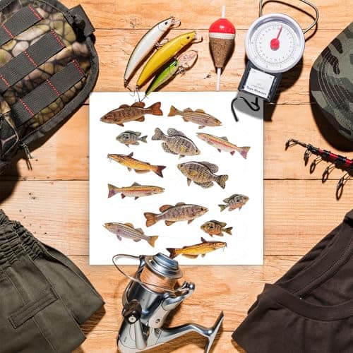 2 Sheets Fish Stickers for Adults - Realistic Detailed Fish Sticker Set, Quality Vinyl, 26 Fishing Stickers and Decals, Great Phone & Laptop Decorating - Usable with Metal, Plastic, Wood and Glass - Thumbnail 5