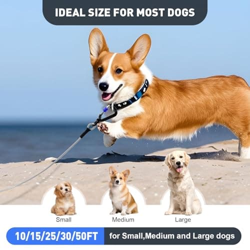 Libbipaw Dog Tie Out Cable 25FT Heavy Duty Chew Proof, Tangle-Free Runner with 360° Swivels & Locking Clip for Large Dogs Up to 250LBS - Rust Proof Leash for Yard, Camping, Outside (Silver 25FT) - Thumbnail 6