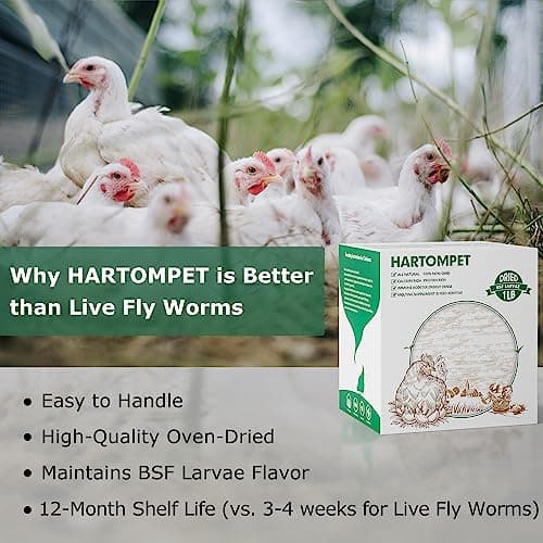 HARTOMPET Dried Black Soldier Fly Larvae for Chickens - Non-GMO Poultry Feed Supplement, 85X More Calcium Than Mealworms, 1LB BSF Worms Treat for Molting & Laying Hens, Ducks & Wild Birds - Thumbnail 5